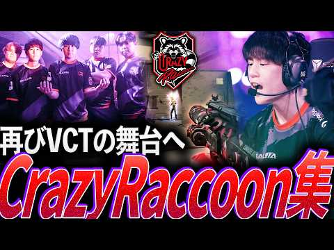 【再始動】再びVCTの舞台に帰ってきた!!歴史を作ったCrazy Raccoon集【Valorant 2020 - 2023:Crazy Raccoon】