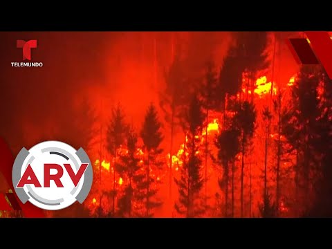 California bajo alerta por incendios, crean videojuego del Chapo Guzmán | Al Rojo Vivo | Telemundo