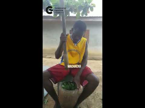 #SeCoinaGuinea Bambucha con malanga