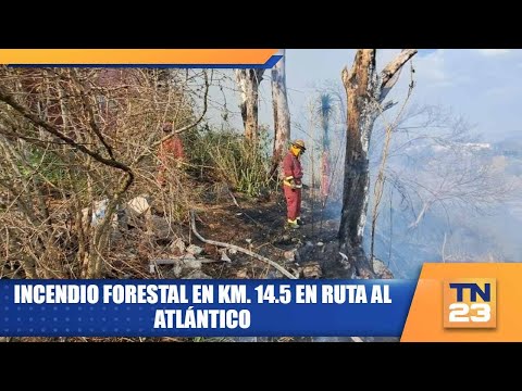 Incendio forestal en km. 14.5 en ruta al Atlántico