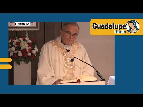 ¿Qué nos dice hoy la palabra de Dios?