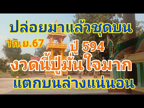 เน้นมาให้2คู่ชุดบนปู594งวด