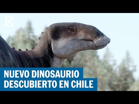 CHILE: Descubren nuevo dinosaurio 'pico de pato' | EL PAÍS