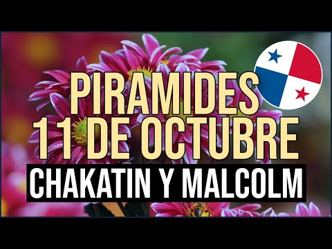 Pirámide Lotería de Panamá Miércoles 11 de Octubre 2023  Pirámide de Chakatin y Malcolm Ramos