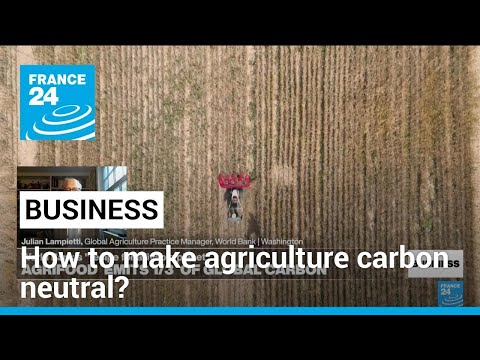 'Recipe for a Livable Planet': New report on how to make agriculture carbon neutral • FRANCE 24