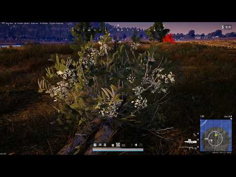 ひろくんのPUBG: BATTLEGROUNDS 第130日 (2026/05/10)