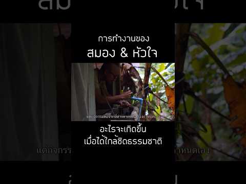 shortvideoshortsที่เที่ยวธรร