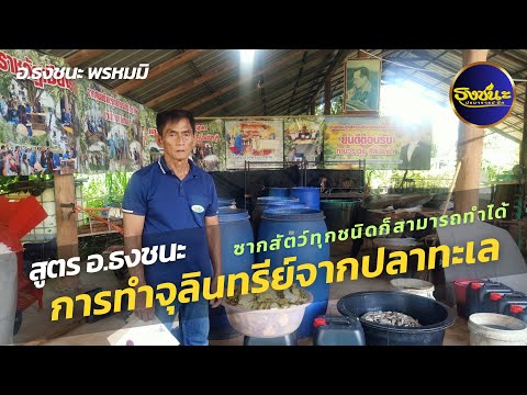 การทำจุลินทรีย์จากปลาทะเล|สู