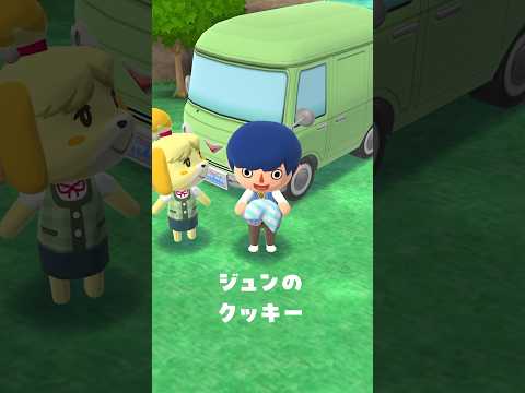 今日はこっちにベルクッキーが来たよ🥠9/8 #ポケ森 #acpc