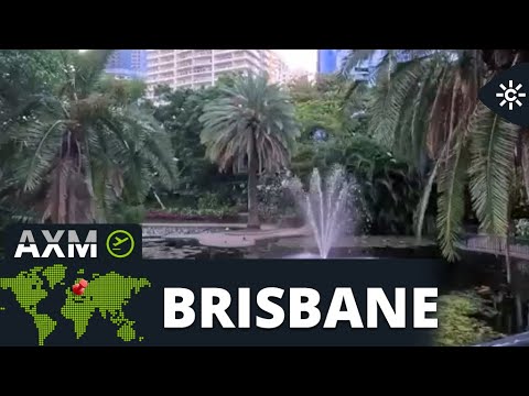 Andalucía X el mundo | La selva urbana de Brisbane está rodeada de auténtica jungla tropical