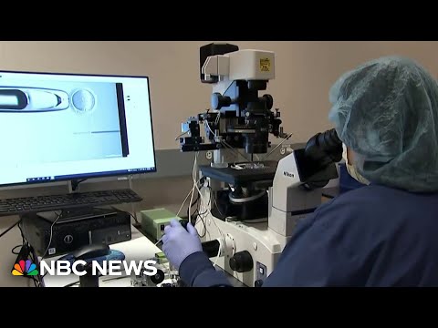 Alabama court decision prompts some to move frozen embryos to other states