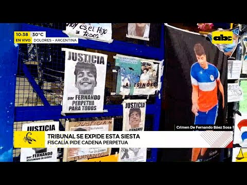 Crimen de Fernando Báez: Tribunal se expide esta siesta