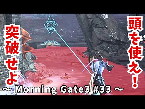 【ゆっくり実況】【バルダーズゲート３】Morning Gate3 #33