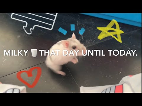 Milky🥛🐹thatdayuntiltoday.