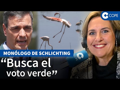 Schlichting: Sánchez ha encontrado una bandera ecologista que le va de perlas para las elecciones