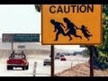 Thom Hartmann - We have Illegal Employers NOT Illegal Immigrants