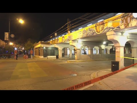 Man, 27, dies after being shot outside CTA Red Line stop on West Morse Ave. in Rogers Park neighborh