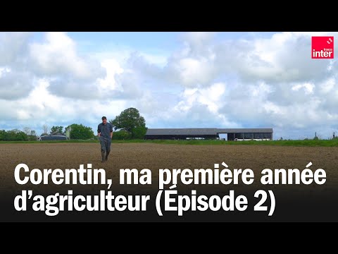 Corentin, ma première année d'agriculteur - Épisode 2 : le printemps