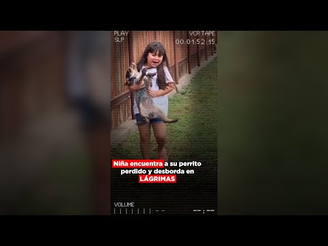 Niña encuentra a su perro después de perderlo @SoyAlmaCervantes