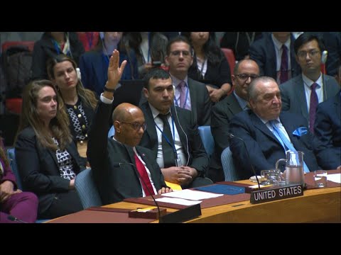 Veto américain à l'adhésion pleine et entière des Palestiniens à l'ONU | AFP Images