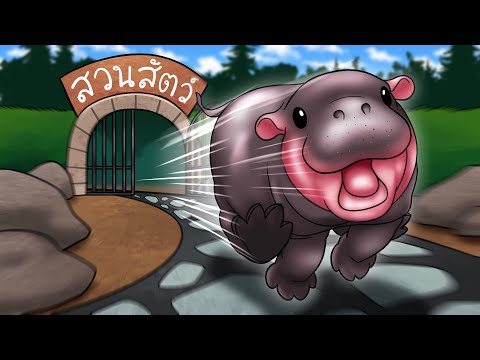 หมูเด้งหนีออกจากสวนสัตว์!|Ga