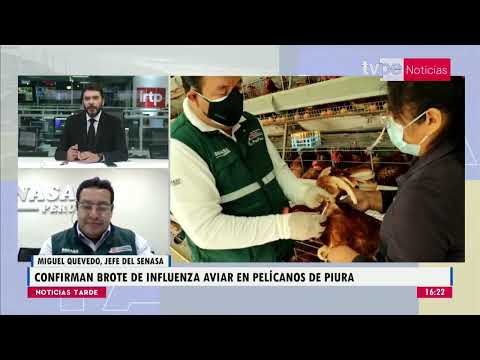 Noticias Tarde | Miguel Quevedo, jefe del Senasa