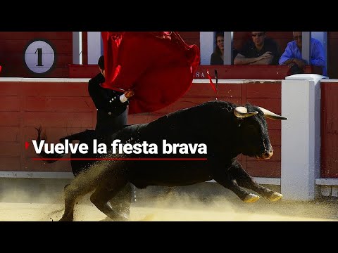 TRIUNFÓ LA LIBERTAD | Las corridas de toros regresarán a la Monumental