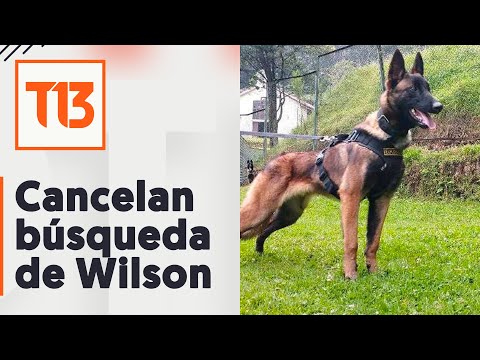 Cancelan búsqueda de Wilson: condecoran a equipo que participó en rescate de niños en la selva