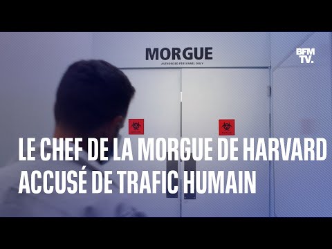 Le chef de la morgue de Harvard accusé de trafic humain en ligne