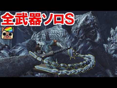 歴戦王アルシュ全武器種ソロＳ終わったので滅龍ライトを試してみる　モンハンワイルズ