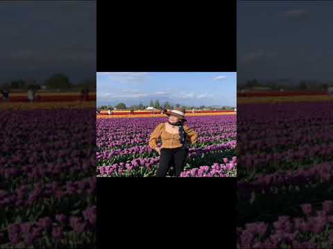 My-dear-sister-@-Seattle-by-Pa My-dear-sister-@-Seattle-by-Pa