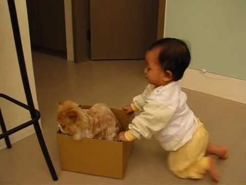 小孩與貓