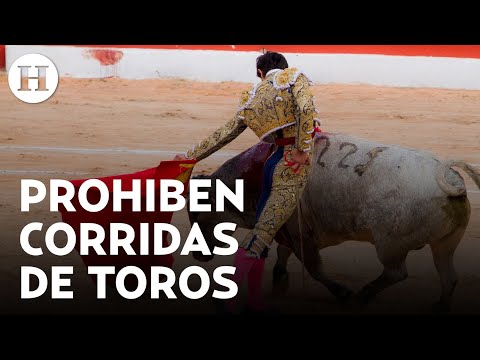 Colombia prohibe las corridas de toros en todo el país; la ley entrará en vigor en 2027