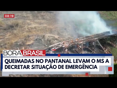 MS decreta situação de emergência em áreas atingidas por queimadas no Pantanal