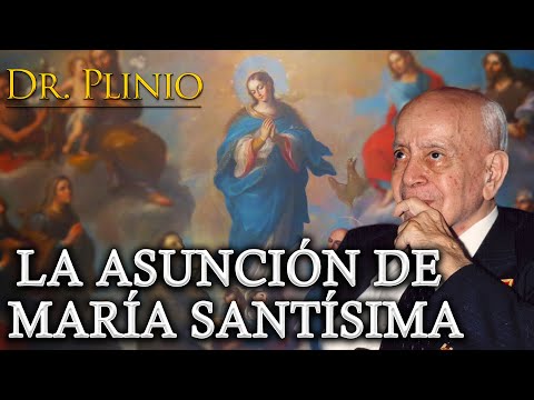 María Santísima - ¡Asunta al Cielo! | Dr. Plinio  - #Meditación
