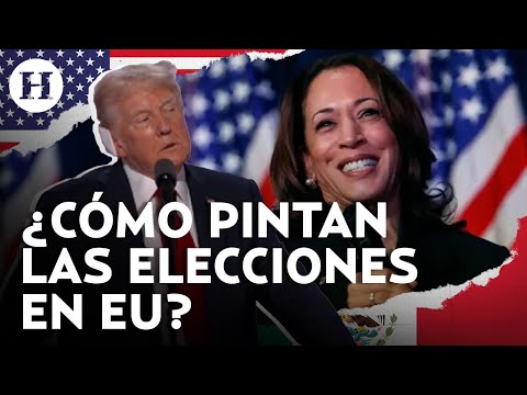 Harris vs Trump | Kamala hará contrapeso a las posturas del republicano, analiza experta