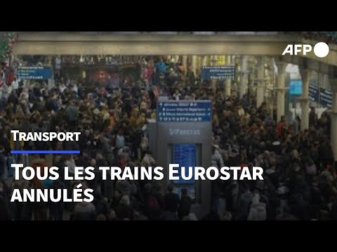 Tous les trains Eurostar annulés à la veille des festivités du Nouvel an | AFP