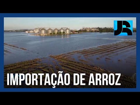 Ministro da Agricultura defende importação de arroz após tragédia no RS; produtores criticam medida