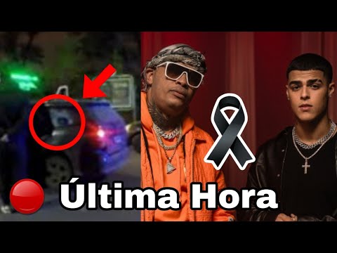 Última Hora: Asesinan a Pacho El Antifeka, muere Pacho El Antifeka en Bayamón, Puerto Rico