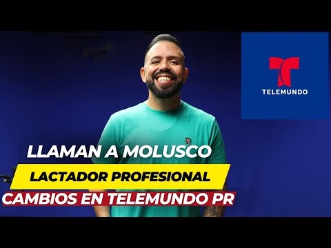 MOLUSCO LACTADOR PROFESIONAL - CAMBIOS EN TELEMUNDO PUERTO RICO
