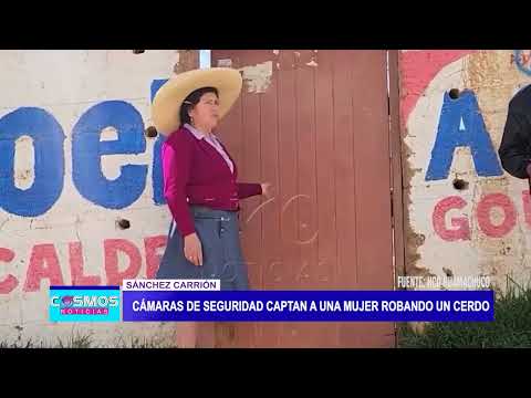 Sánchez Carrión: Cámaras de seguridad captan a una mujer robando un cerdo