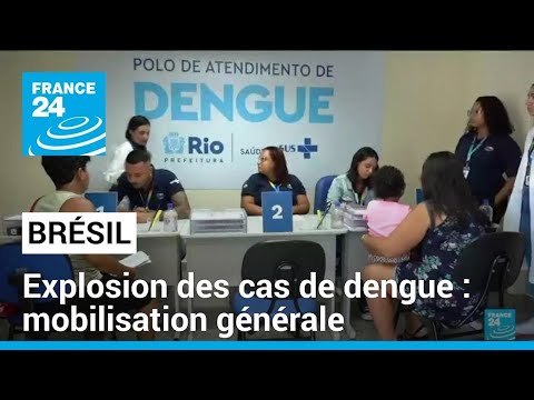 Explosion des cas de dengue au Brésil : le pays ordonne la mobilisation générale • FRANCE 24