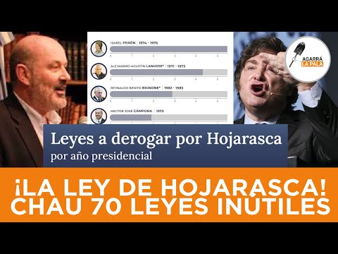 BOMBAZO DEL GOBIERNO DE MILEI: LA LEY HOJARASCA LLEGA AL CONGRESO Y BUSCA ELIMINAR 70 LEYES INÚTILES