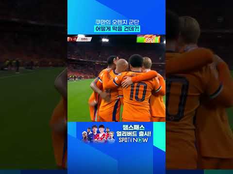 네덜란드 패스 플레이 보소 ㄷㄷ 