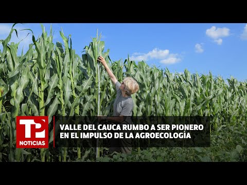 Valle del Cauca rumbo a ser pionero en el impulso de la agroecología |06.05.2024| TP Noticias