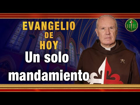 EVANGELIO DE HOY - Viernes 7 de Mayo | Un solo Mandamiento