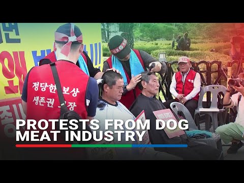 South Korean dog meat farmers shave heads to protest consumption ban