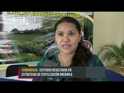 INTA promueve la utilización de fertilizantes orgánicos con productores de Chinandega - Nicaragua