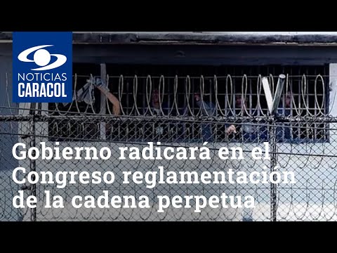 Gobierno radicará en el Congreso reglamentación de la cadena perpetua para violadores de niños