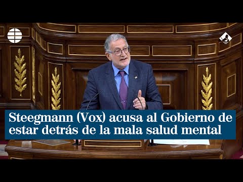 Steegmann (Vox) acusa al Gobierno de ser responsable de la mala salud mental de los españoles